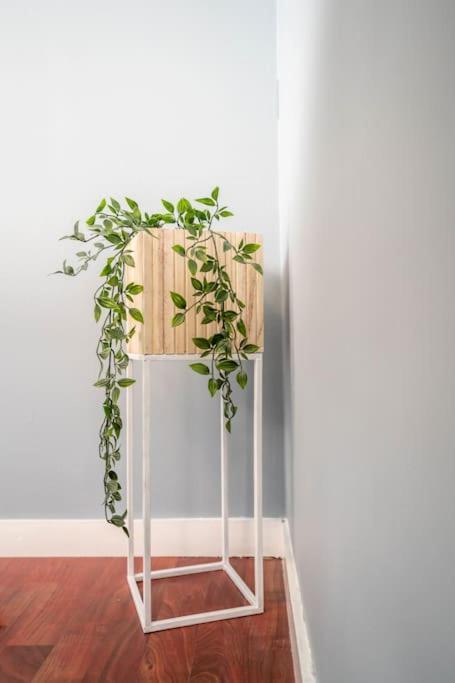 The Green House Of Stavanger Bnb 14 -Central, Sauna And Airport Shuttle Bagian luar foto